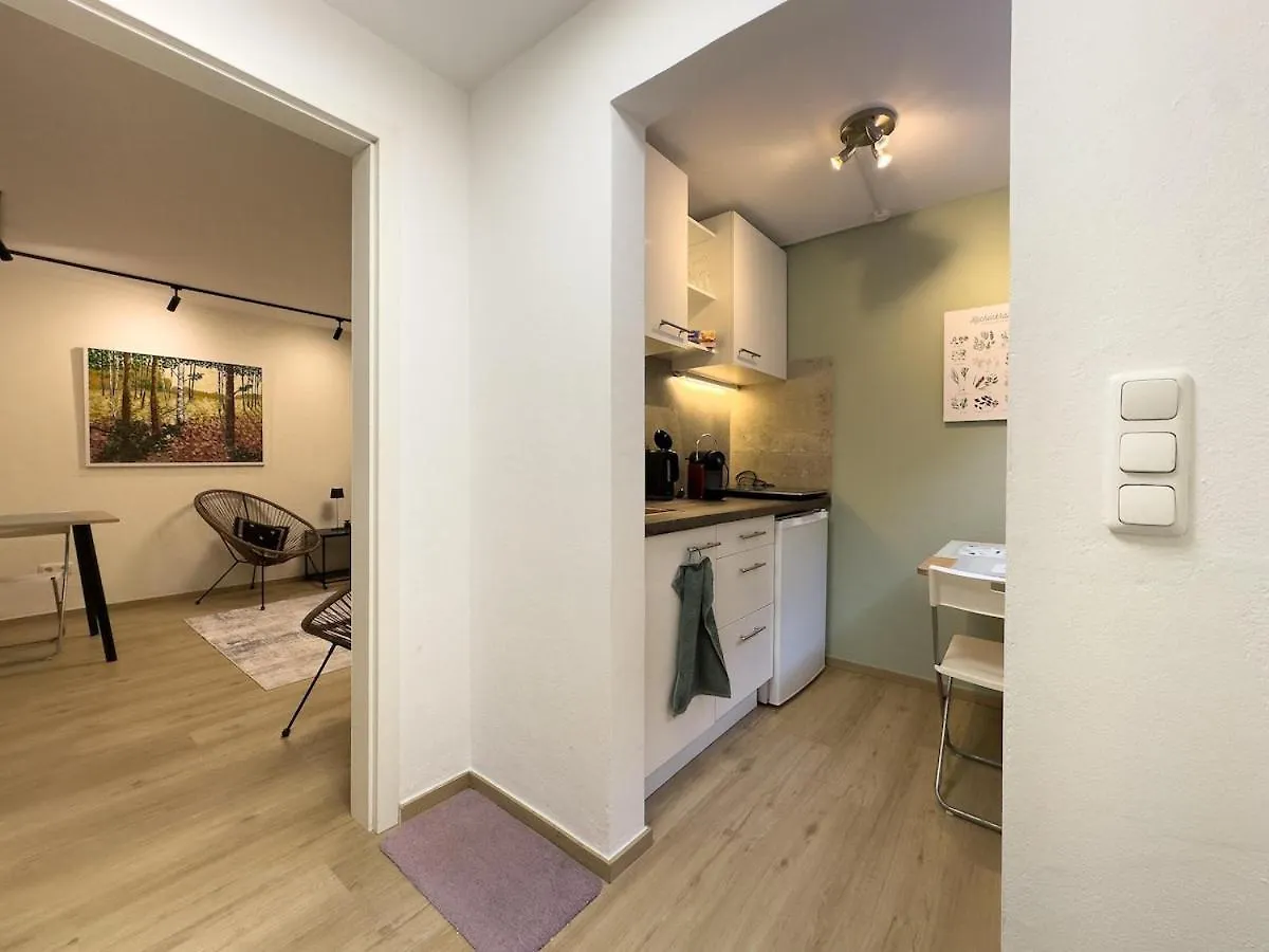 Modernes 1 Zimmer Apartment In Schwabing Naehe Allianz Arena Und Englischer Garten ميونيخ